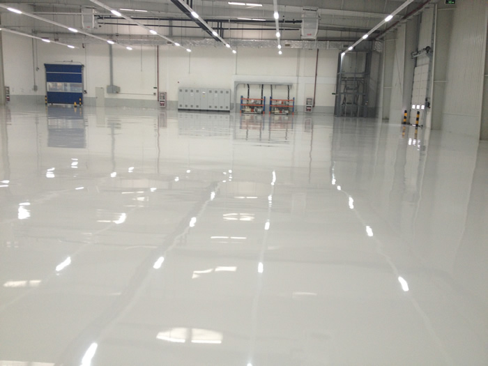 上海德爾格醫療器械環(huán)氧防靜電地坪